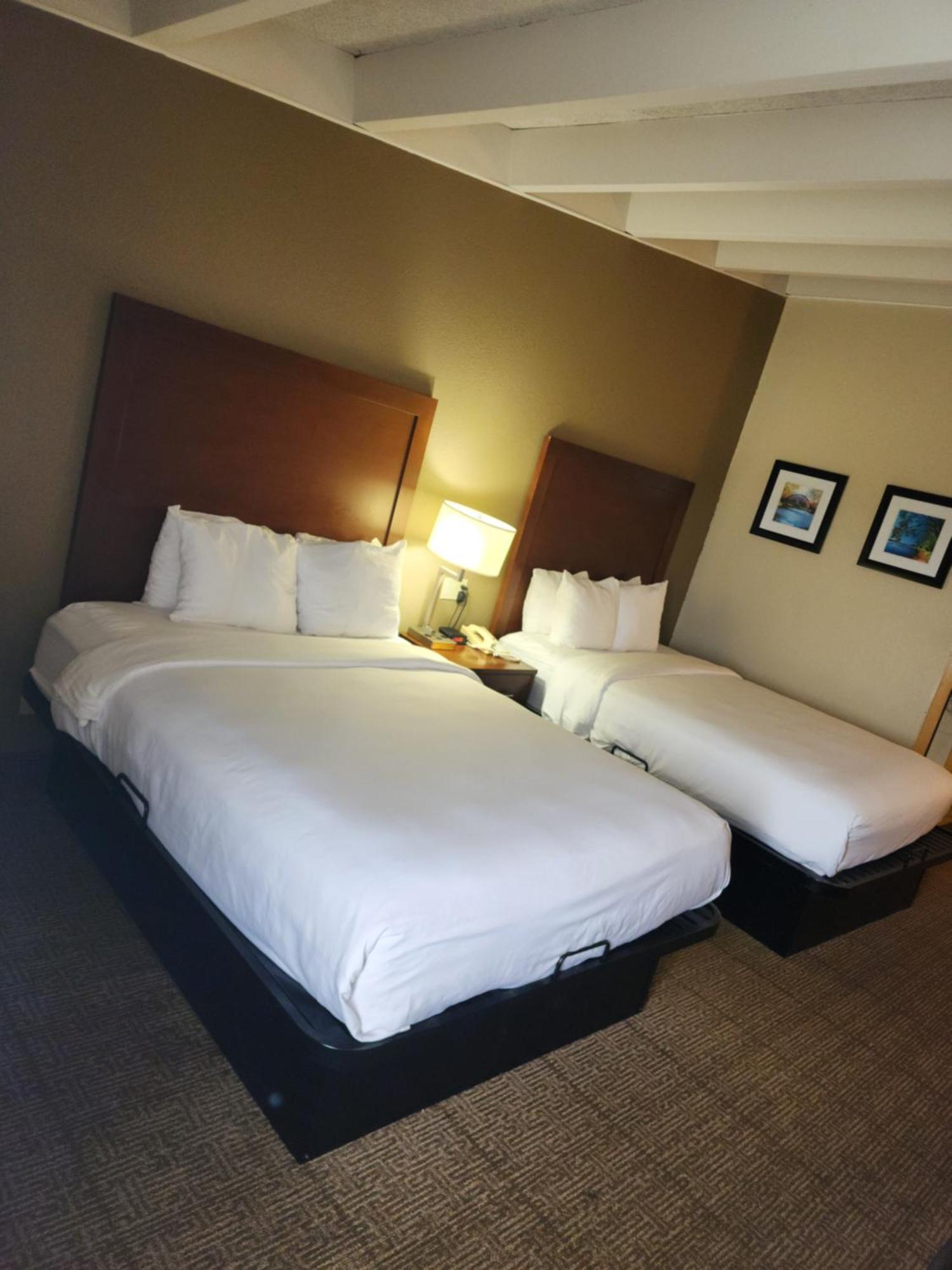 Comfort Inn & Suites Madison - Airport Exterior photo
