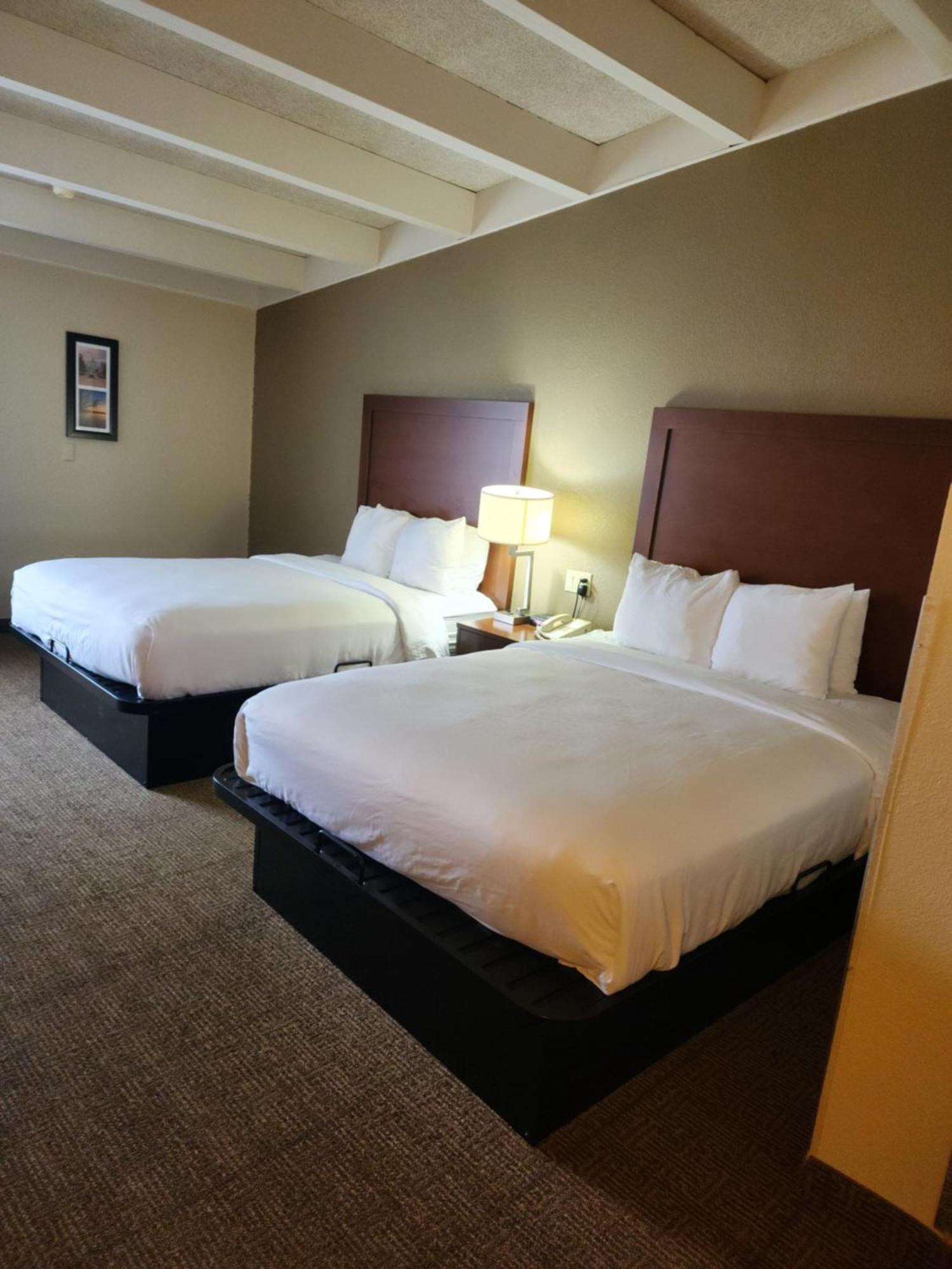 Comfort Inn & Suites Madison - Airport Exterior photo