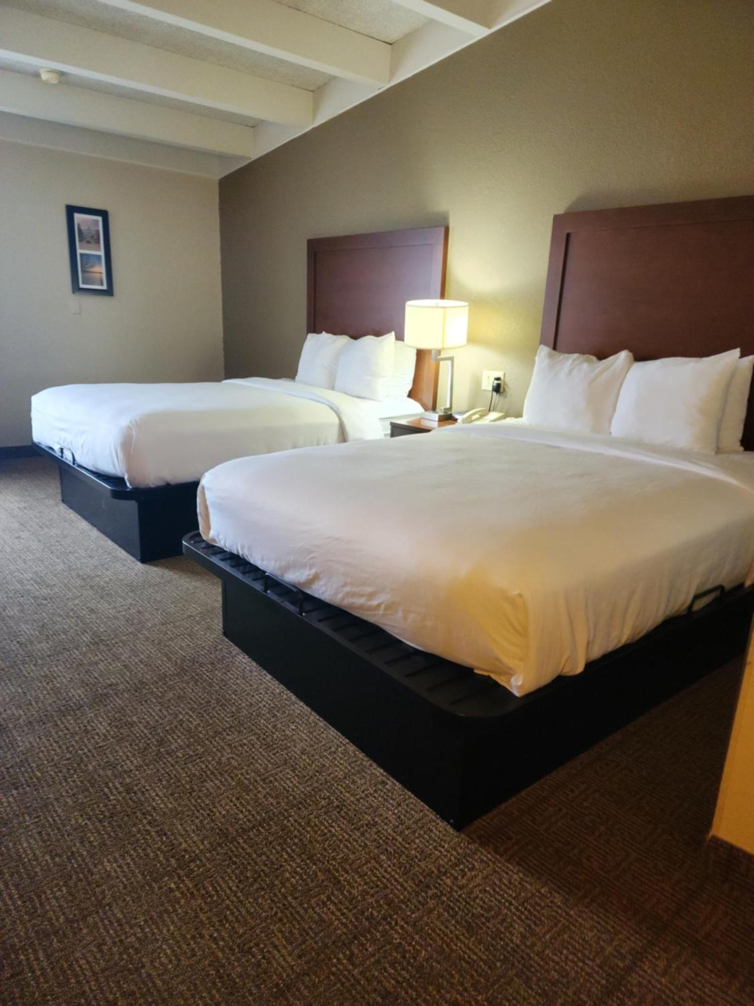 Comfort Inn & Suites Madison - Airport Exterior photo